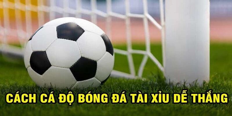 Kinh nghiệm bắt kèo tài xỉu đỉnh cao không thể bỏ qua